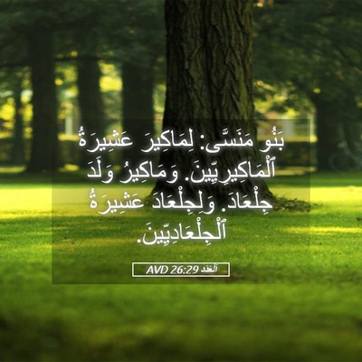 Picture 05 - اَلْعَدَد 26:29 AVD - بَنُو مَنَسَّى: لِمَاكِيرَ - Bible Verse Picture