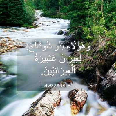 Picture 05 - اَلْعَدَد 26:36 AVD - وَهَؤُلَاءِ بَنُو - Bible Verse Picture