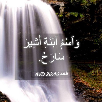 Picture 05 - اَلْعَدَد 26:46 AVD - وَٱسْمُ ٱبْنَةِ أَشِيرَ - Bible Verse Picture