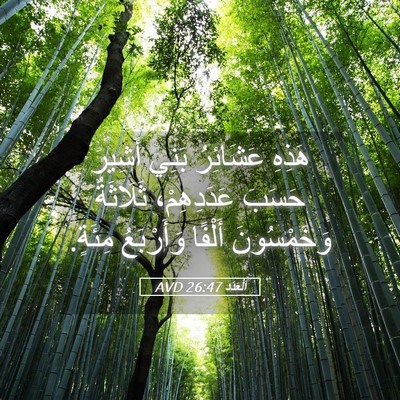 Picture 05 - اَلْعَدَد 26:47 AVD - هَذِهِ عَشَائِرُ بَنِي - Bible Verse Picture