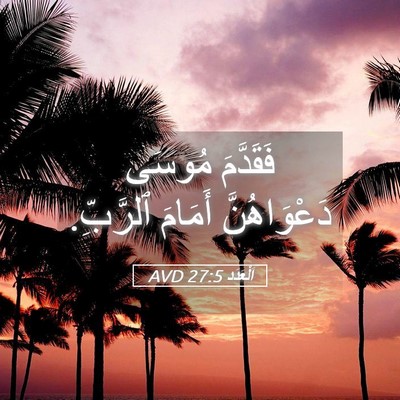 Picture 05 - اَلْعَدَد 27:5 AVD - فَقَدَّمَ مُوسَى - Bible Verse Picture
