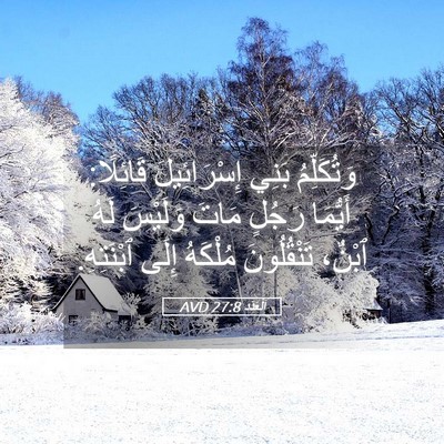 Picture 05 - اَلْعَدَد 27:8 AVD - وَتُكَلِّمُ بَنِي - Bible Verse Picture