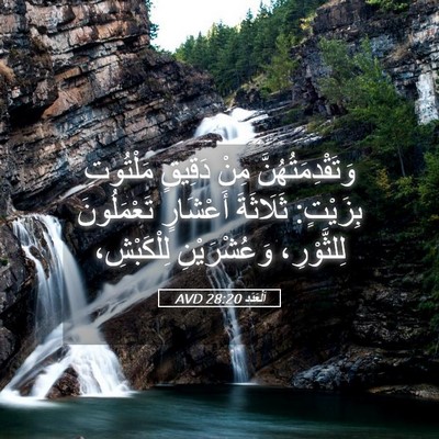 Picture 05 - اَلْعَدَد 28:20 AVD - وَتَقْدِمَتُهُنَّ مِنْ - Bible Verse Picture
