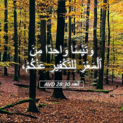 Picture 05 - اَلْعَدَد 28:30 AVD - وَتَيْسًا وَاحِدًا مِنَ - Bible Verse Picture