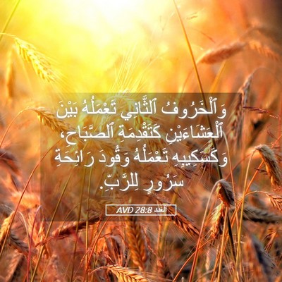 Picture 05 - اَلْعَدَد 28:8 AVD - وَٱلْخَرُوفُ ٱلثَّانِي - Bible Verse Picture