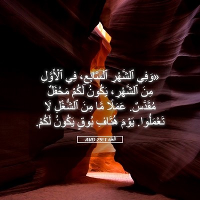 Picture 05 - اَلْعَدَد 29:1 AVD - «وَفِي ٱلشَّهْرِ - Bible Verse Picture