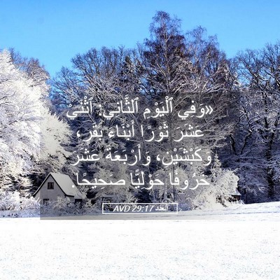 Picture 05 - اَلْعَدَد 29:17 AVD - «وَفِي ٱلْيَوْمِ - Bible Verse Picture