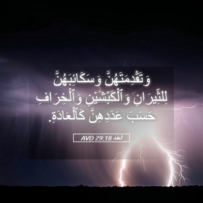 Picture 05 - اَلْعَدَد 29:18 AVD - وَتَقْدِمَتَهُنَّ - Bible Verse Picture