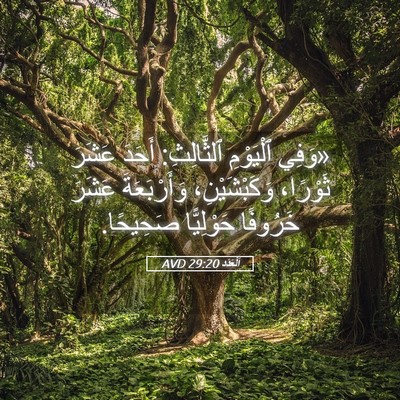Picture 05 - اَلْعَدَد 29:20 AVD - «وَفِي ٱلْيَوْمِ - Bible Verse Picture