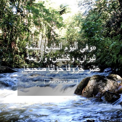 Picture 05 - اَلْعَدَد 29:32 AVD - «وَفِي ٱلْيَوْمِ - Bible Verse Picture