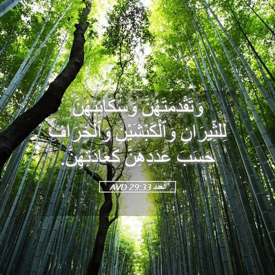 Picture 05 - اَلْعَدَد 29:33 AVD - وَتَقْدِمَتَهُنَّ - Bible Verse Picture