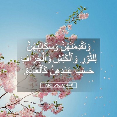 Picture 05 - اَلْعَدَد 29:37 AVD - وَتَقْدِمَتَهُنَّ - Bible Verse Picture