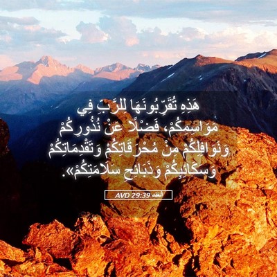 Picture 05 - اَلْعَدَد 29:39 AVD - هَذِهِ تُقَرِّبُونَهَا - Bible Verse Picture