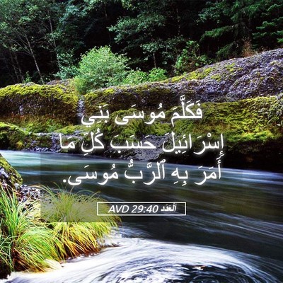 Picture 05 - اَلْعَدَد 29:40 AVD - فَكَلَّمَ مُوسَى بَنِي - Bible Verse Picture