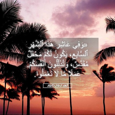 Picture 05 - اَلْعَدَد 29:7 AVD - «وَفِي عَاشِرِ هَذَا - Bible Verse Picture