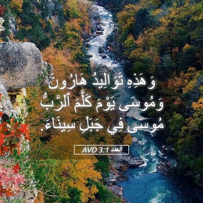 Picture 05 - اَلْعَدَد 3:1 AVD - وَهَذِهِ تَوَالِيدُ - Bible Verse Picture