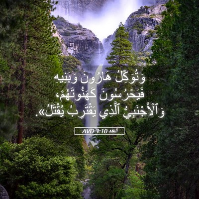 Picture 05 - اَلْعَدَد 3:10 AVD - وَتُوَكِّلُ هَارُونَ - Bible Verse Picture