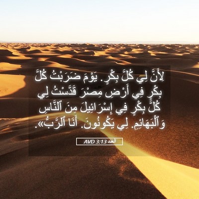 Picture 05 - اَلْعَدَد 3:13 AVD - لِأَنَّ لِي كُلَّ بِكْرٍ. - Bible Verse Picture