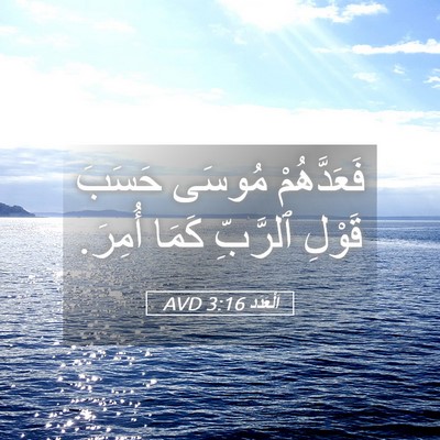 Picture 05 - اَلْعَدَد 3:16 AVD - فَعَدَّهُمْ مُوسَى حَسَبَ - Bible Verse Picture