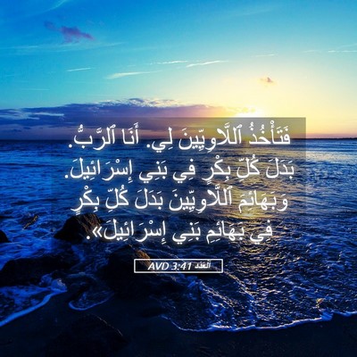 Picture 05 - اَلْعَدَد 3:41 AVD - فَتَأْخُذُ ٱللَّاوِيِّينَ - Bible Verse Picture