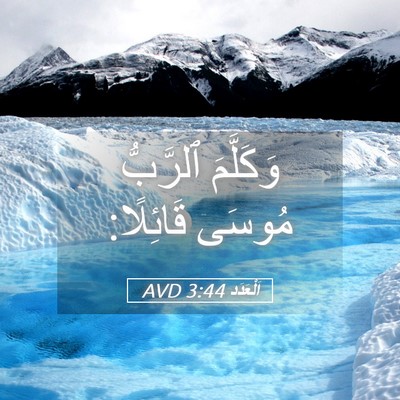 Picture 05 - اَلْعَدَد 3:44 AVD - وَكَلَّمَ ٱلرَّبُّ مُوسَى - Bible Verse Picture