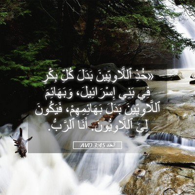Picture 05 - اَلْعَدَد 3:45 AVD - «خُذِ ٱللَّاوِيِّينَ - Bible Verse Picture