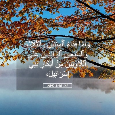 Picture 05 - اَلْعَدَد 3:46 AVD - وَأَمَّا فِدَاءُ - Bible Verse Picture
