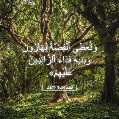 Picture 05 - اَلْعَدَد 3:48 AVD - وَتُعْطِي ٱلْفِضَّةَ - Bible Verse Picture