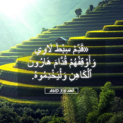 Picture 05 - اَلْعَدَد 3:6 AVD - «قَدِّمْ سِبْطَ لَاوِي - Bible Verse Picture