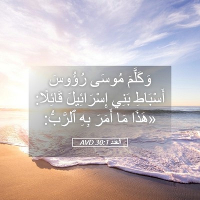 Picture 05 - اَلْعَدَد 30:1 AVD - وَكَلَّمَ مُوسَى رُؤُوسَ - Bible Verse Picture