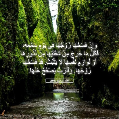 Picture 05 - اَلْعَدَد 30:12 AVD - وَإِنْ فَسَخَهَا - Bible Verse Picture