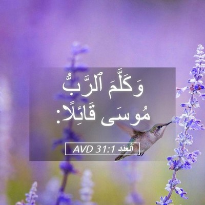 Picture 05 - اَلْعَدَد 31:1 AVD - وَكَلَّمَ ٱلرَّبُّ مُوسَى - Bible Verse Picture