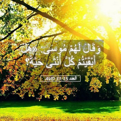 Picture 05 - اَلْعَدَد 31:15 AVD - وَقَالَ لَهُمْ مُوسَى: - Bible Verse Picture