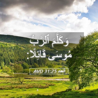 Picture 05 - اَلْعَدَد 31:25 AVD - وَكَلَّمَ ٱلرَّبُّ مُوسَى - Bible Verse Picture