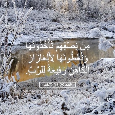 Picture 05 - اَلْعَدَد 31:29 AVD - مِنْ نِصْفِهِمْ - Bible Verse Picture