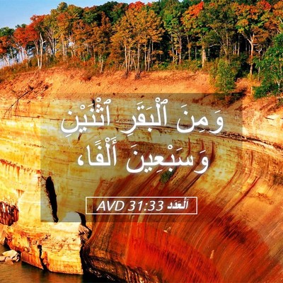 Picture 05 - اَلْعَدَد 31:33 AVD - وَمِنَ ٱلْبَقَرِ - Bible Verse Picture