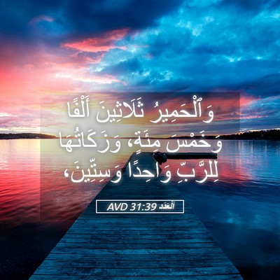 Picture 05 - اَلْعَدَد 31:39 AVD - وَٱلْحَمِيرُ ثَلَاثِينَ - Bible Verse Picture
