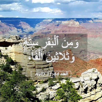 Picture 05 - اَلْعَدَد 31:44 AVD - وَمِنَ ٱلْبَقَرِ سِتَّةً - Bible Verse Picture