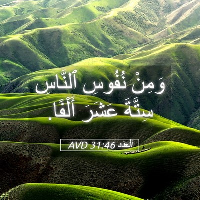 Picture 05 - اَلْعَدَد 31:46 AVD - وَمِنْ نُفُوسِ ٱلنَّاسِ - Bible Verse Picture
