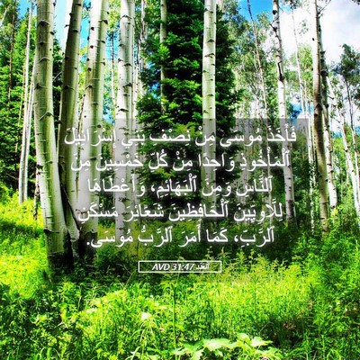 Picture 05 - اَلْعَدَد 31:47 AVD - فَأَخَذَ مُوسَى مِنْ - Bible Verse Picture
