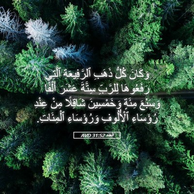 Picture 05 - اَلْعَدَد 31:52 AVD - وَكَانَ كُلُّ ذَهَبِ - Bible Verse Picture