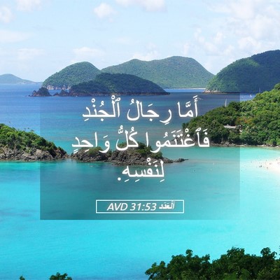 Picture 05 - اَلْعَدَد 31:53 AVD - أَمَّا رِجَالُ ٱلْجُنْدِ - Bible Verse Picture