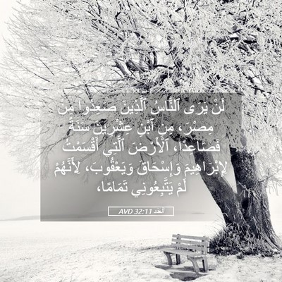 Picture 05 - اَلْعَدَد 32:11 AVD - لَنْ يَرَى ٱلنَّاسُ - Bible Verse Picture