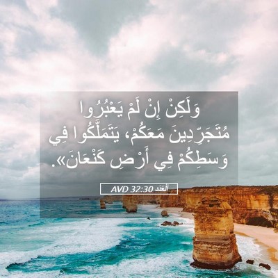 Picture 05 - اَلْعَدَد 32:30 AVD - وَلَكِنْ إِنْ لَمْ - Bible Verse Picture