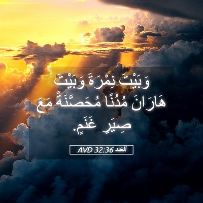 Picture 05 - اَلْعَدَد 32:36 AVD - وَبَيْتَ نِمْرَةَ - Bible Verse Picture