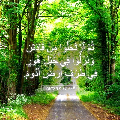 Picture 05 - اَلْعَدَد 33:37 AVD - ثُمَّ ٱرْتَحَلُوا مِنْ - Bible Verse Picture