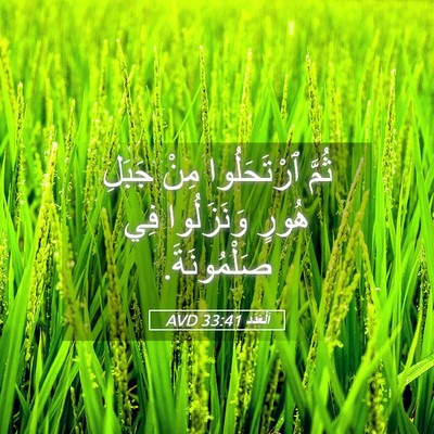 Picture 05 - اَلْعَدَد 33:41 AVD - ثُمَّ ٱرْتَحَلُوا مِنْ - Bible Verse Picture
