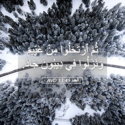 Picture 05 - اَلْعَدَد 33:45 AVD - ثُمَّ ٱرْتَحَلُوا مِنْ - Bible Verse Picture