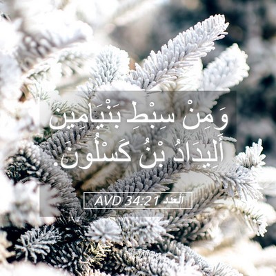 Picture 05 - اَلْعَدَد 34:21 AVD - وَمِنْ سِبْطِ - Bible Verse Picture