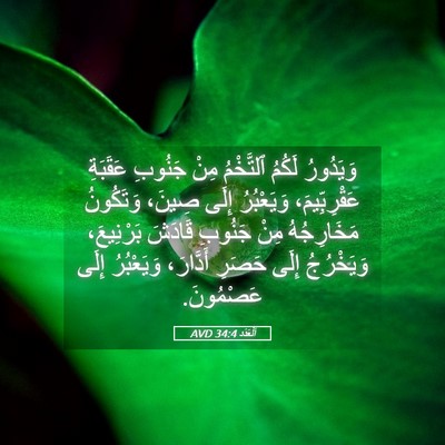Picture 05 - اَلْعَدَد 34:4 AVD - وَيَدُورُ لَكُمُ - Bible Verse Picture